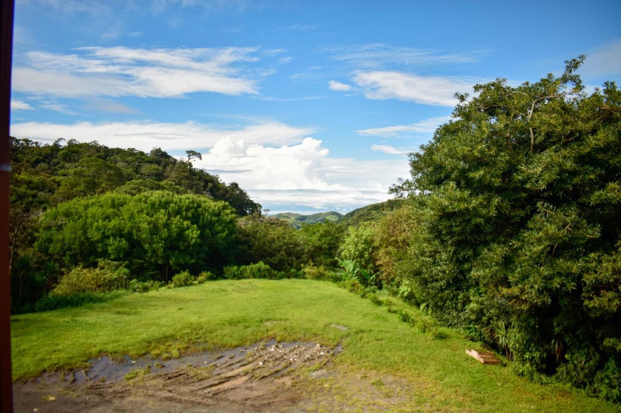 Cabinas Selva Verde Monteverde Ngoại thất bức ảnh