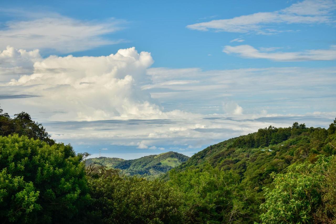 Cabinas Selva Verde Monteverde Ngoại thất bức ảnh